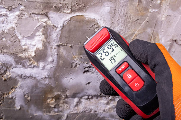 Reliable Encinitas, CA Mold Removal Solutions