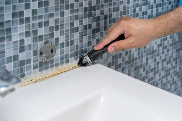 Best Professional Mold Removal  in Encinitas, CA